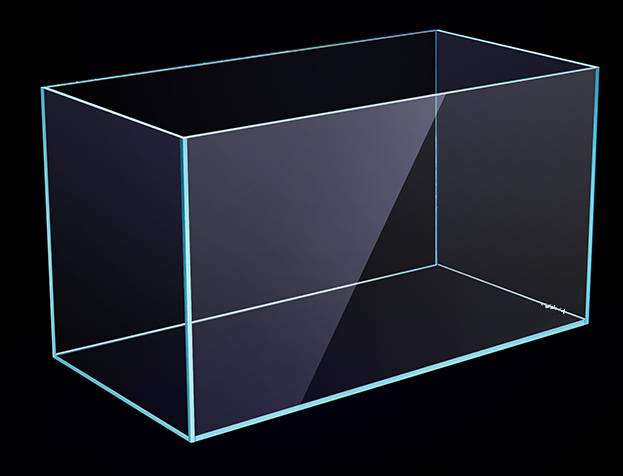 想养虾怎么找苗,想养虾怎么入手