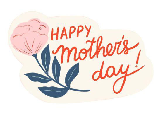 记录妈妈最美的样子珍藏版,妈妈必知的十大纪录片