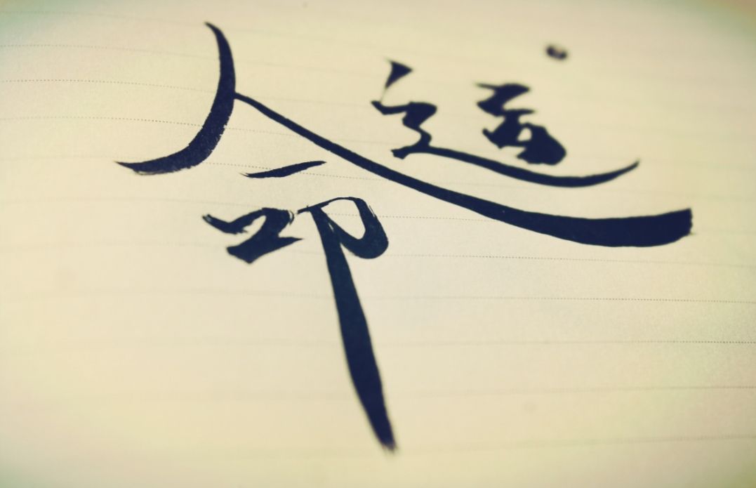 让命运选择命运,让命运把你带回身边