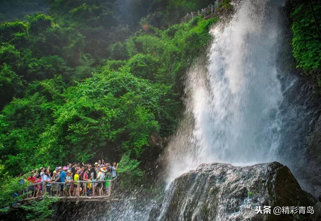什么是麻雀定律,什么是应激反应表现有哪些