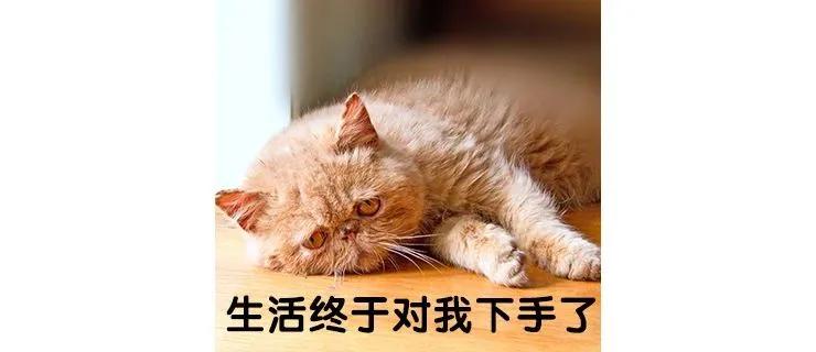 哺乳期大小奶应该吃哪一面,哺乳期大小奶怎么快速纠正