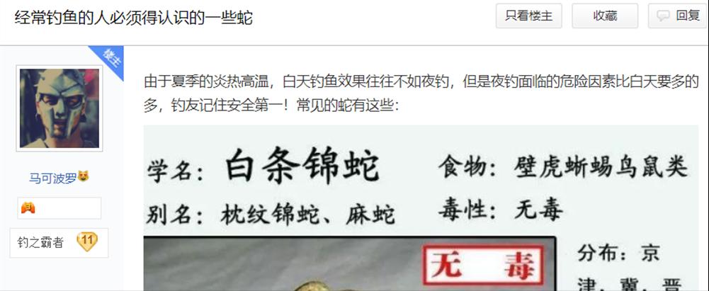 文能提竿安天下，武能执叉斗鳄鱼：鱼竿在手，万物皆有？