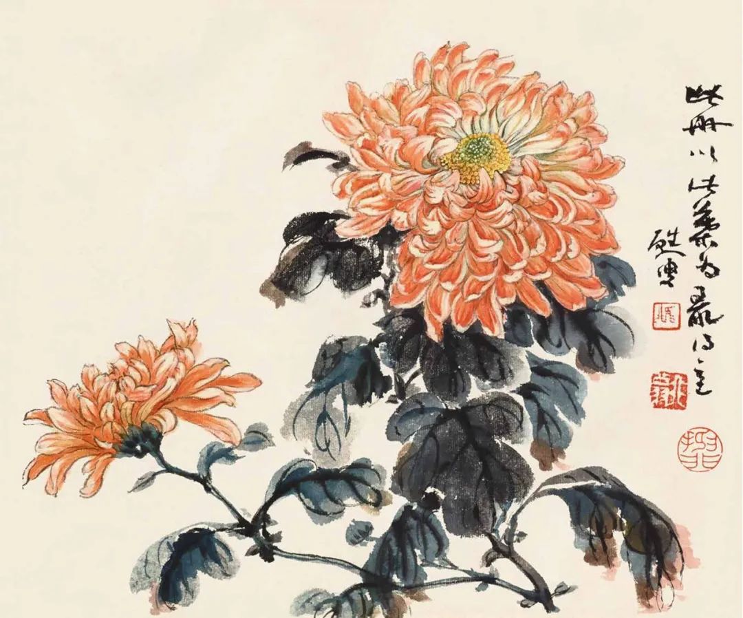 秋菊怎么画简单,秋菊花图片怎么画