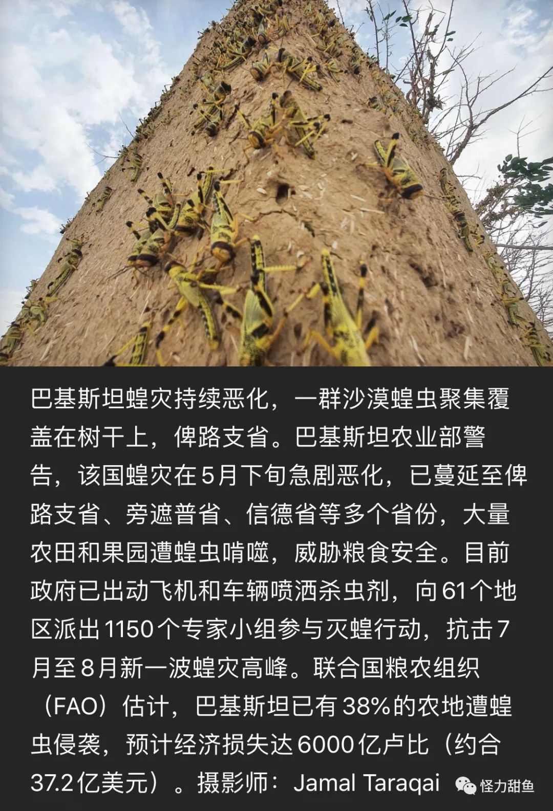 手工制作卡片欢迎卡,手工卡片制作许愿卡