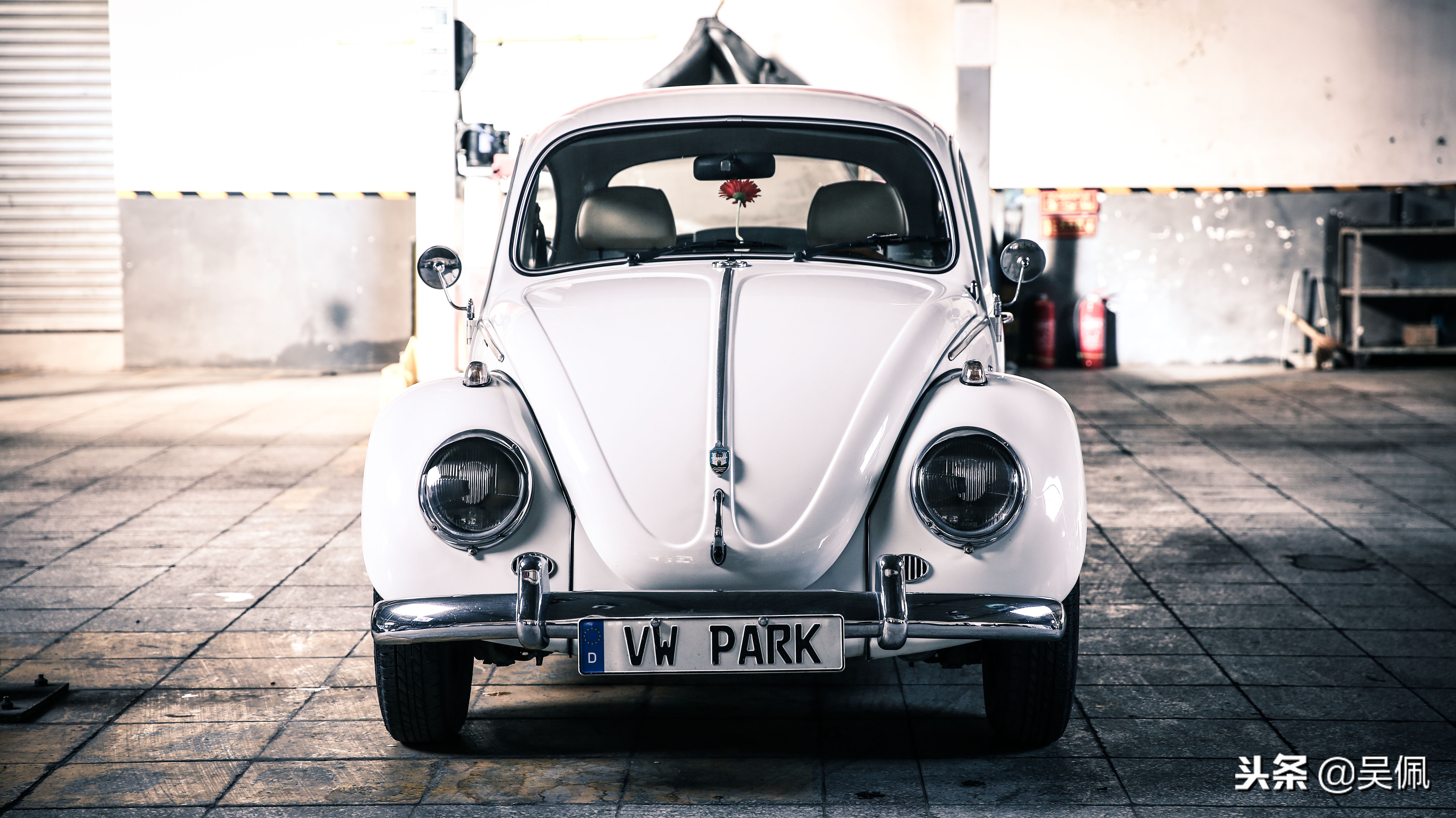 每一个欣赏经典的人,都值得拥有一辆甲壳虫