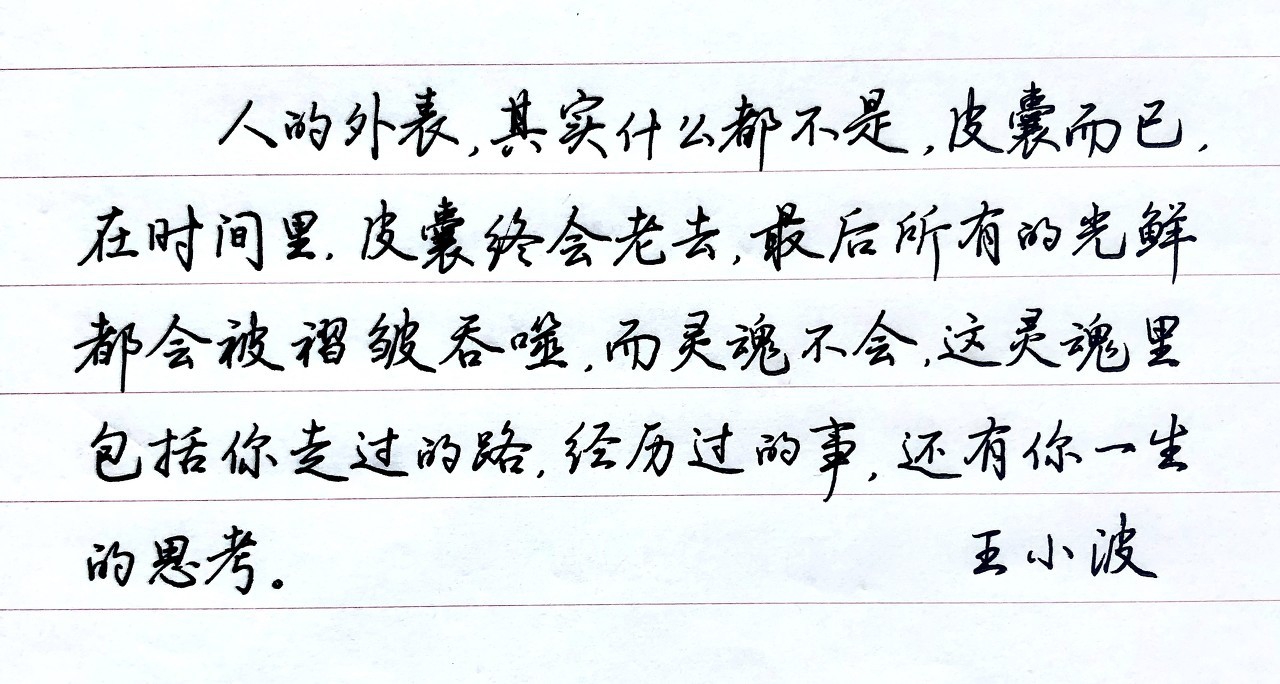 《王小波》-好的文字应该有音乐的韵律，星星一般的光辉