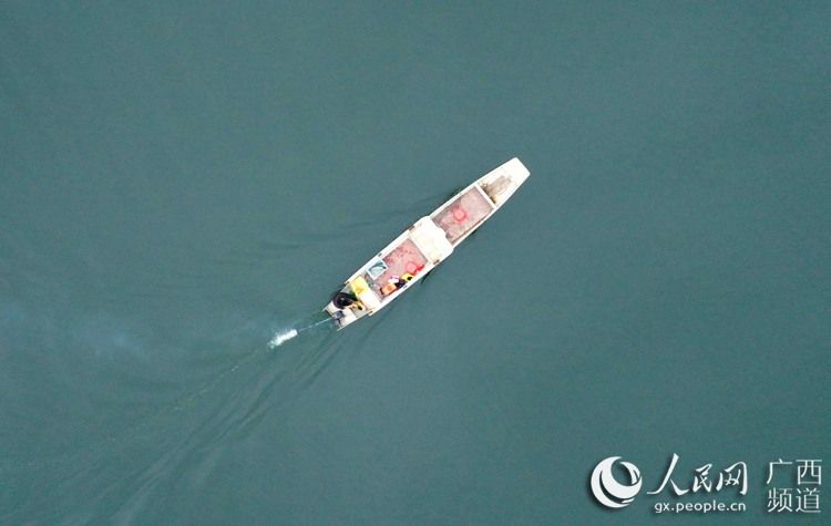 贫困户养鱼脱贫致富,村书记带领稻田养鱼致富增收