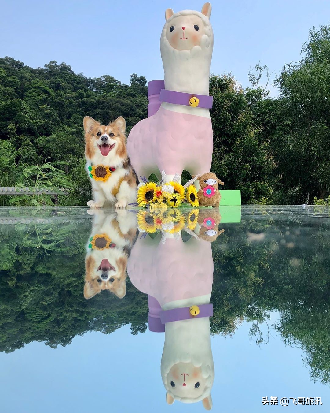 香港露营基地推荐,香港露营住宿攻略