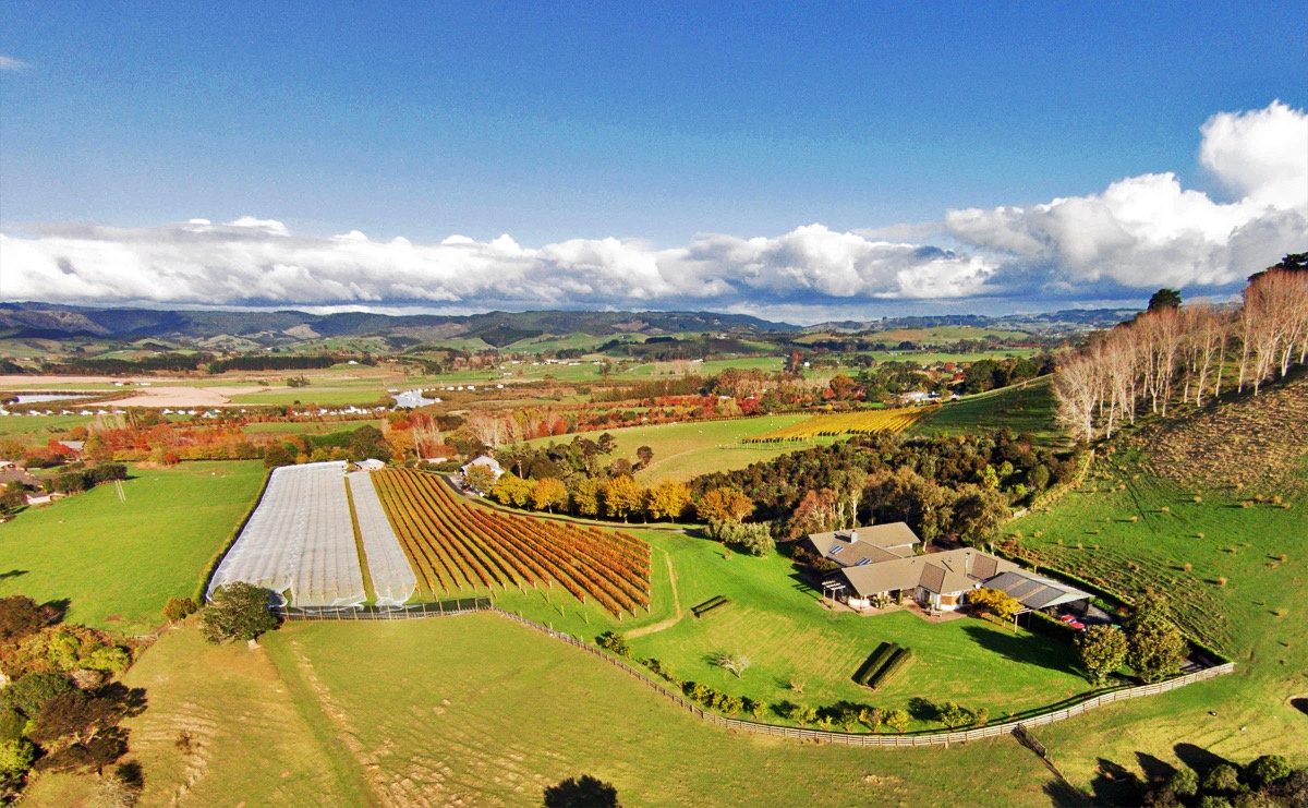 世界名酒产区,世界美酒名牌前十名