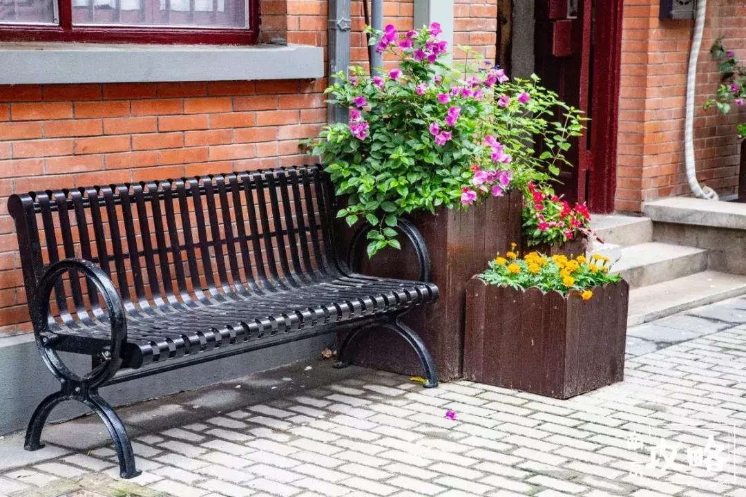 慧园里,南京城中,时光交错的角落