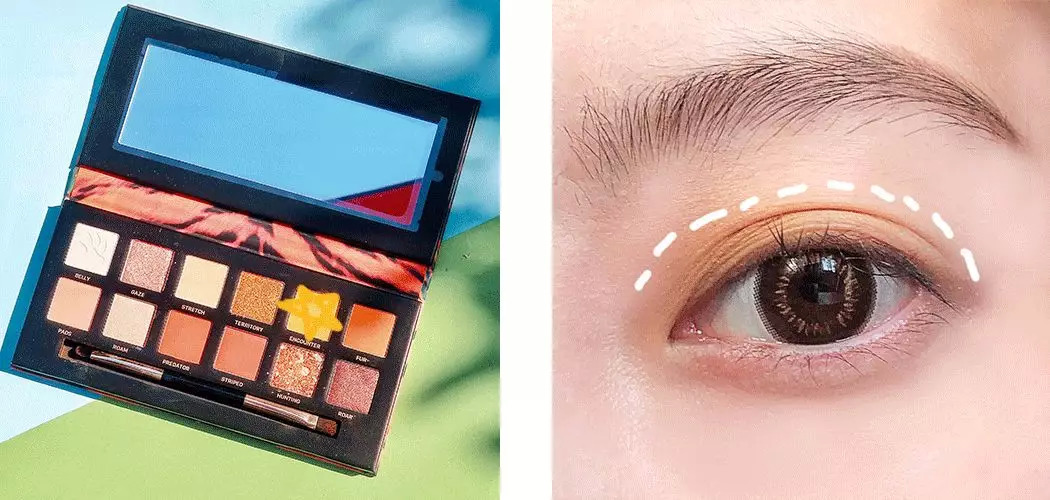 不用代购的平价产品有哪些,超高颜值的国货眼影盘