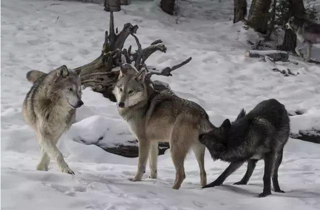 做生意赚钱的商业模式,创业做生意十大底层逻辑