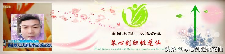 什么时候采收蜂蜜最好,采蜜期如何让蜜蜂高产