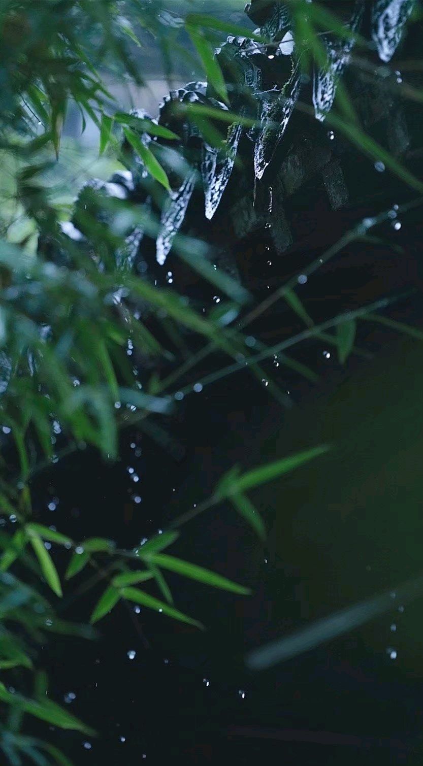 怀念过往的岁月散文,感悟流年散文