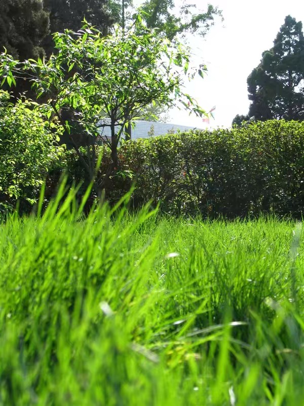 三原南郊中学简介,三原南郊中学名人