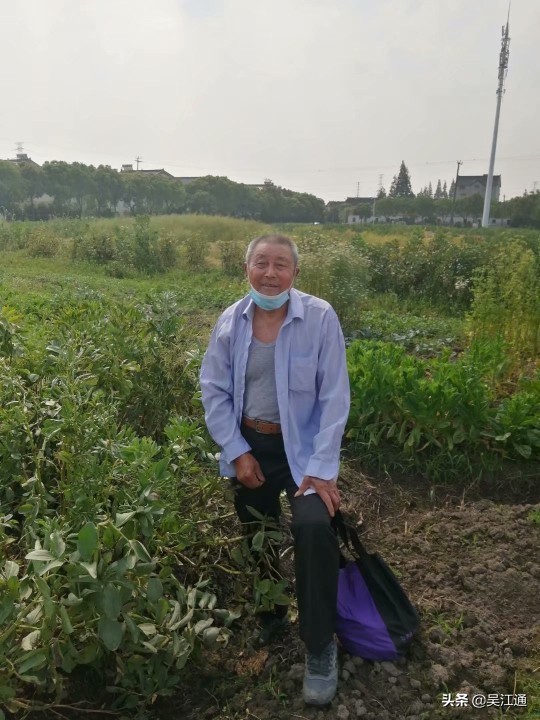 北厍人眼中的南厍村