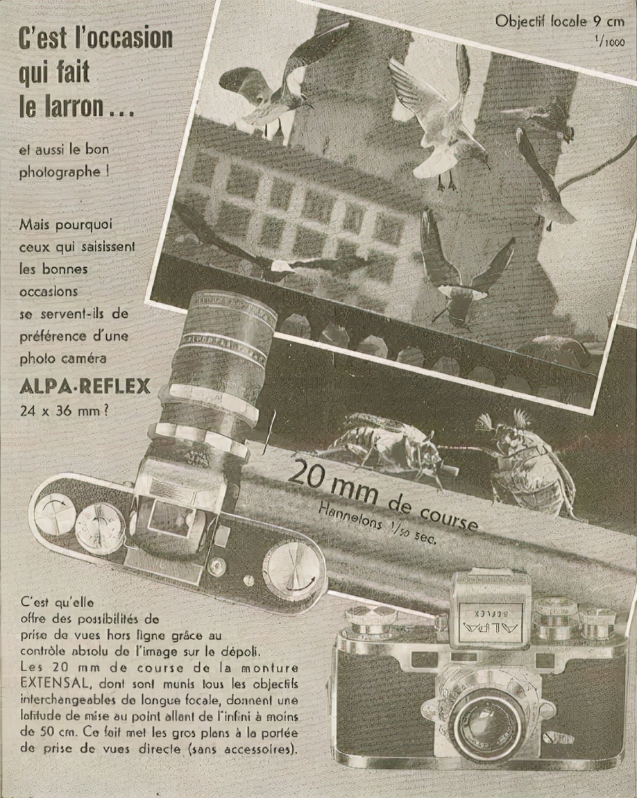 绉濂界墿鎺ㄨ崘,绉compass