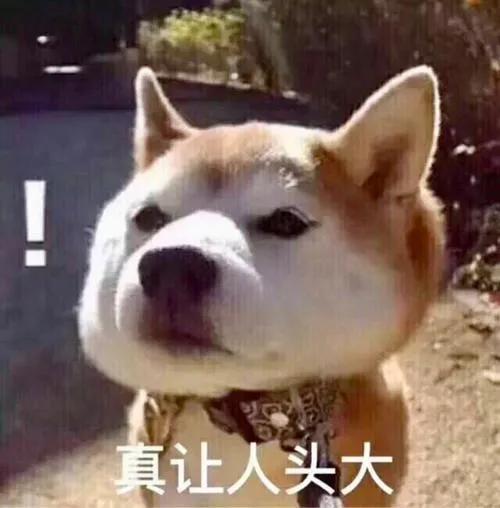 小狗用英语说,小狗用英语怎么说儿歌