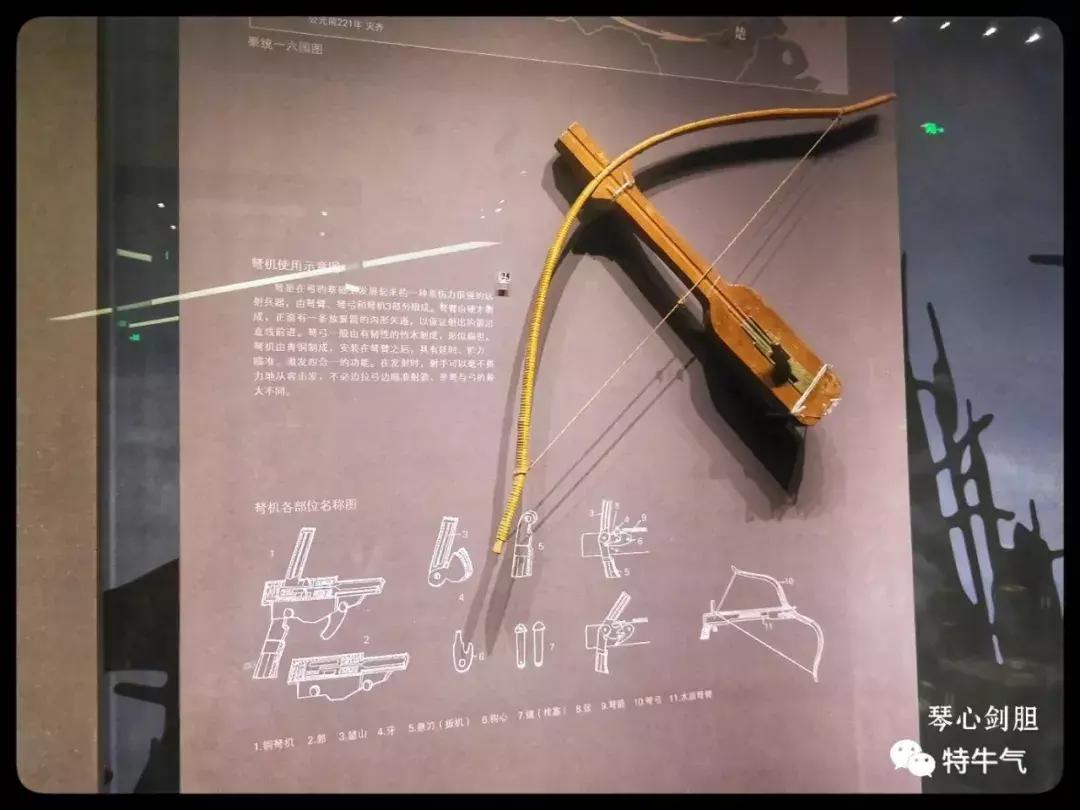 赤金走龙陕西历史博物馆,陕西历史博物馆抢票攻略