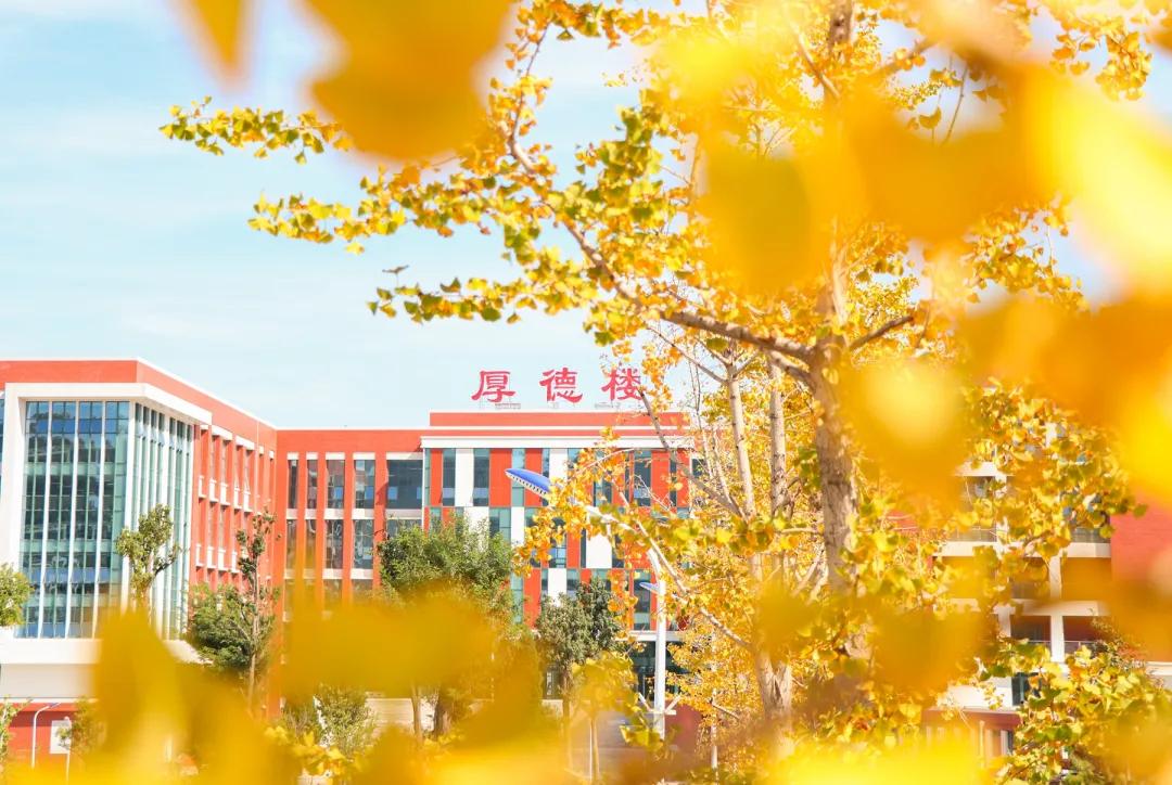 潍坊理工学院值得去吗,点评潍坊理工学院