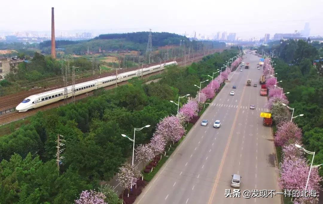 电子客票开始实行了吗,电子客票时代来了