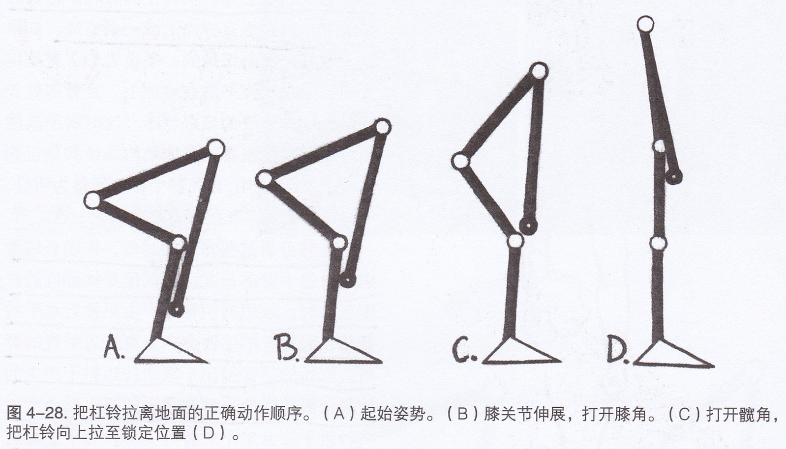 传统硬拉的正确方法,传统硬拉简单一点还是宽距硬拉难