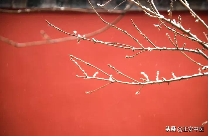 大寒做好2件事,散掉积攒了1年的寒气,把阳气养得足足的