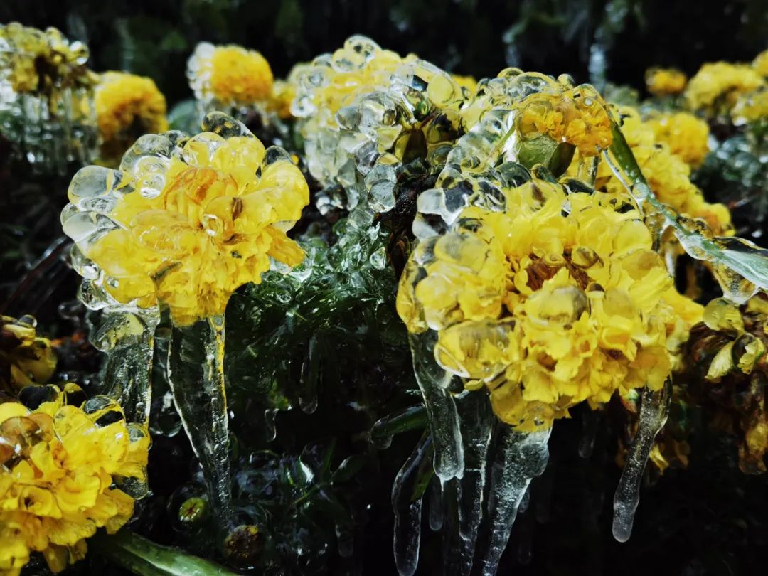 大寒潮小寒潮,寒潮带来大范围降雪