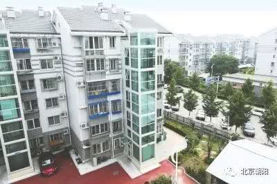 朝阳群众最新动态,朝阳群众辉煌战绩