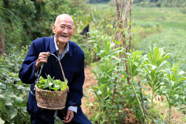 巴马长寿老人趣闻,巴马长寿老人最多的地方