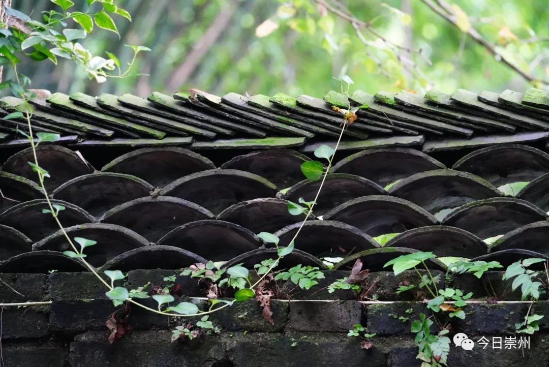 四川崇州怀远镇网红小吃粉蒸肉,崇州美食粉蒸肉