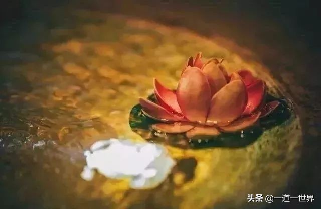 人生不过是渡人渡己的过程,人生就是渡人渡心渡己