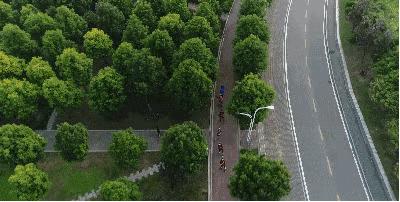 武汉长江二桥江滩公园,武汉杨泗港长江大桥篮球公园