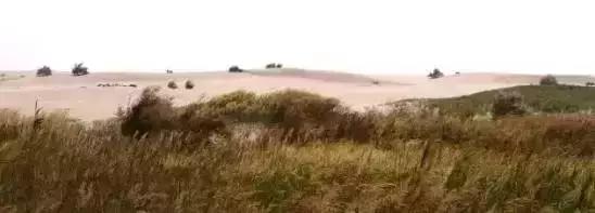 河北值得去的海岛旅游,周末驾到2013