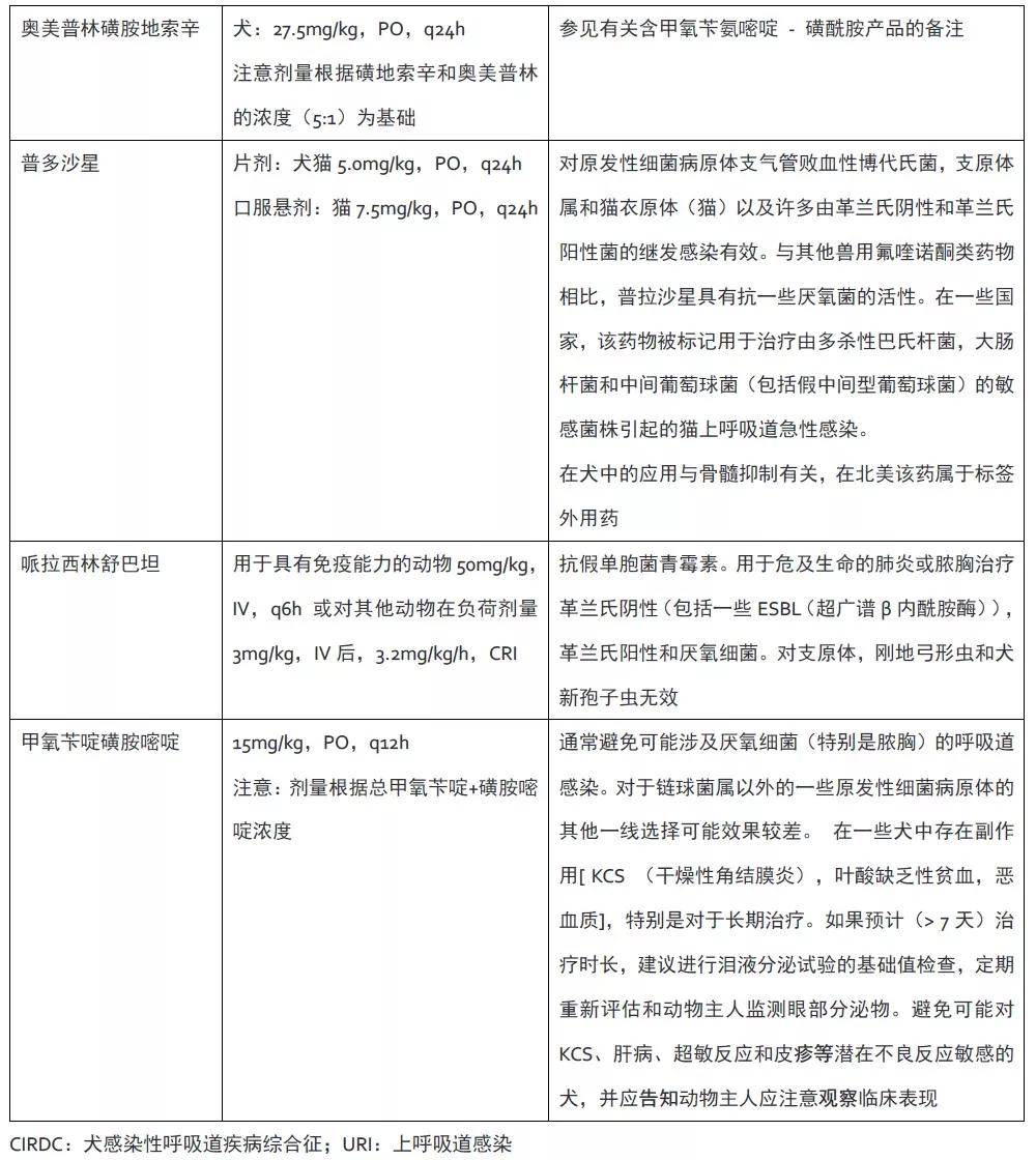 犬猫怎么用抗生素,治疗猫犬的药和针剂
