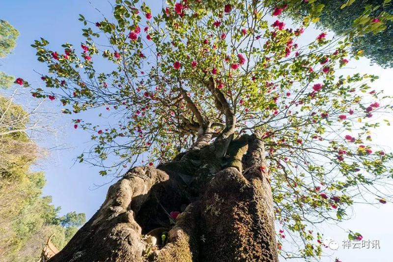 云南十一自驾,云南自驾游十一旅游攻略