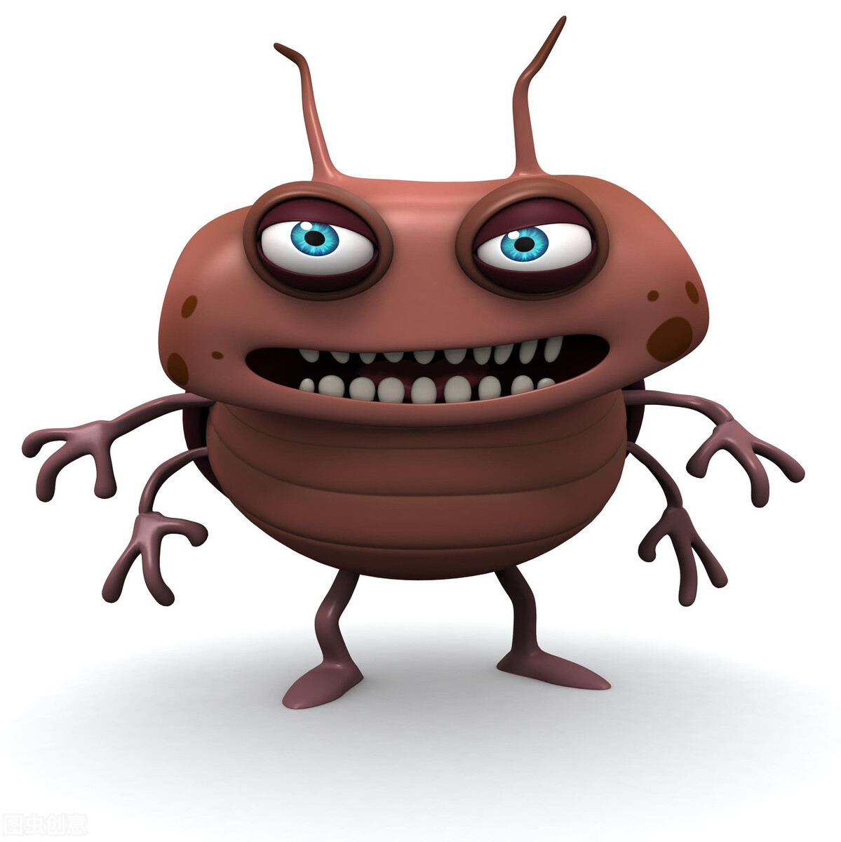 蟑螂的天敌蠼螋,蟑螂的天敌怎么灭掉