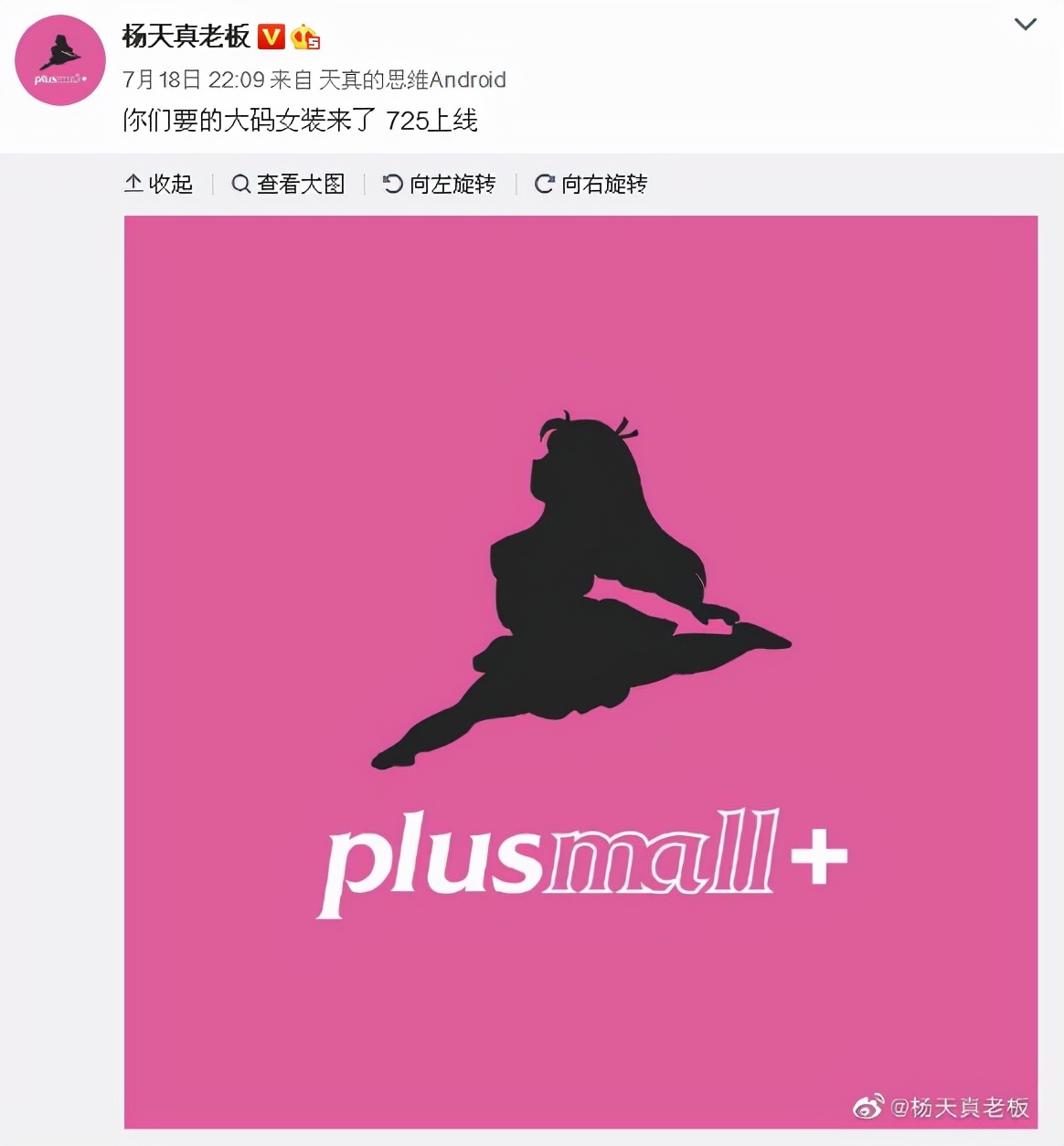 杨天真签约模特,杨天真创立大码品牌