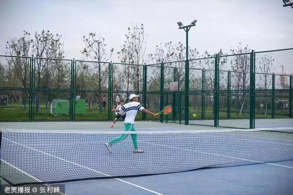 洛阳适合休息的公园,洛阳免费公园景点大全