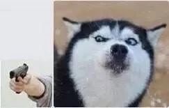 这些网红产品到底能不能买,十大网红产品个个是坑劝你别买