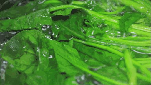 红细胞偏低吃什么药补得快,红细胞总数低如何食补