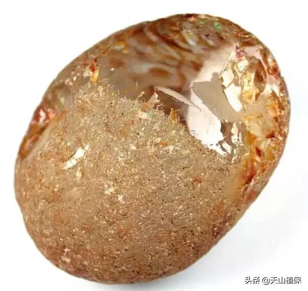 怎么捡到价值极高的石头,捡到一块石头价值千万