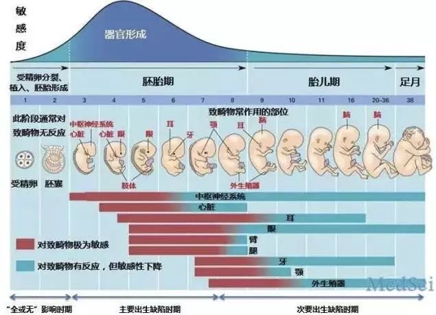 闺蜜孕期吃了药，紧张的都快抑郁了，没想到结局亮了……