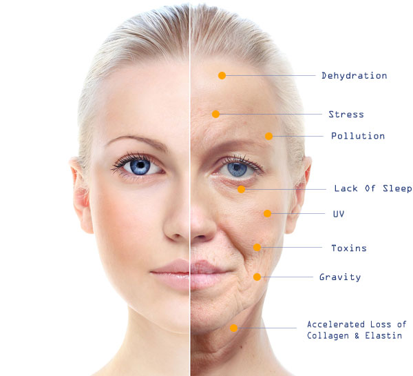 美澳保健品,买海外营养品哪个网站好