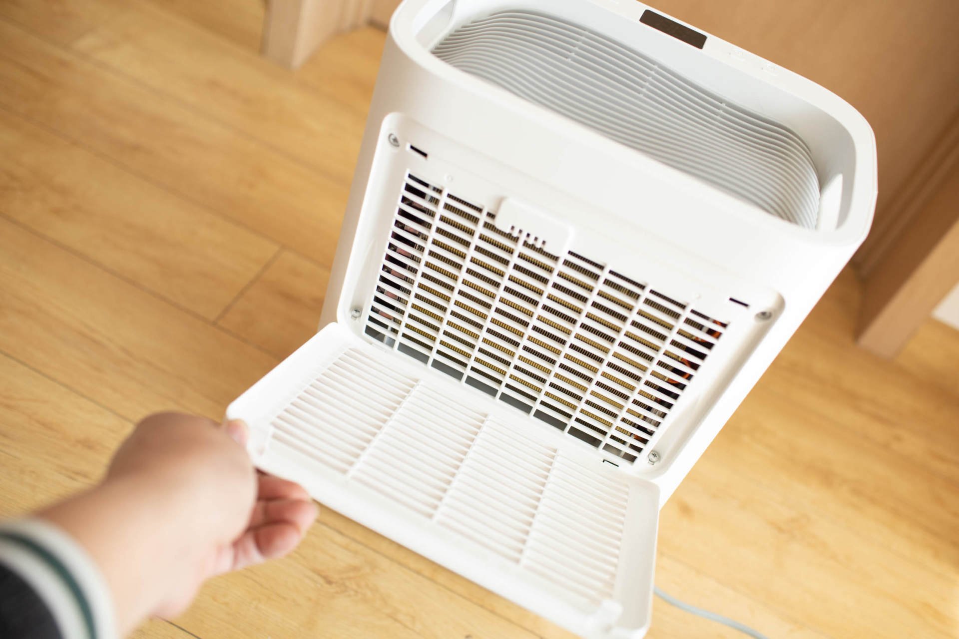 抵御南方湿冷的魔法攻击，小而强悍的伊岛*湿机除**