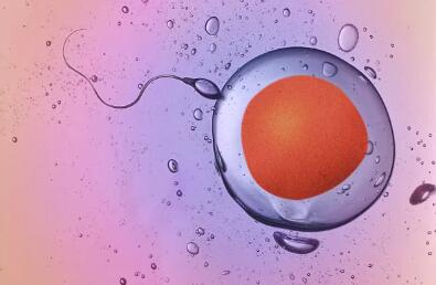 试管婴儿移植后剩余的胚胎怎么办,试管婴儿移植成功后会一直腹胀吗