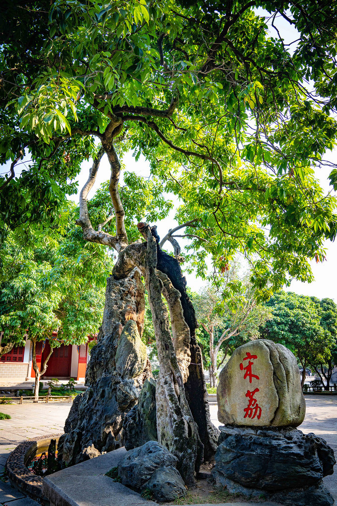 福州古城一日游攻略,福州最全旅游攻略一日游