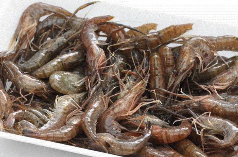 爆炒河虾的正宗做法,河虾香辣脆的家常做法