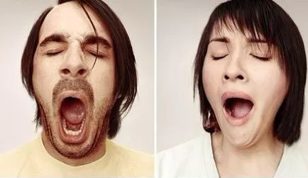 2岁4个月喜欢学狗叫,2岁宝宝一直学狗叫