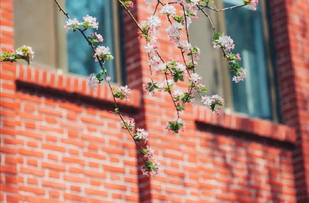 绵阳最牛初中生,绵阳最牛的初中